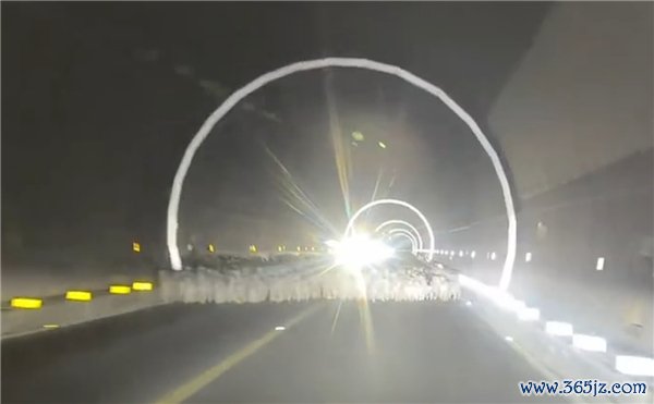 交警复兴纯碎撞倒29只羊负全责 牧说念通行轨范需尊重