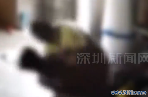 日本66岁老东说念主不释怀季子独活下杀手