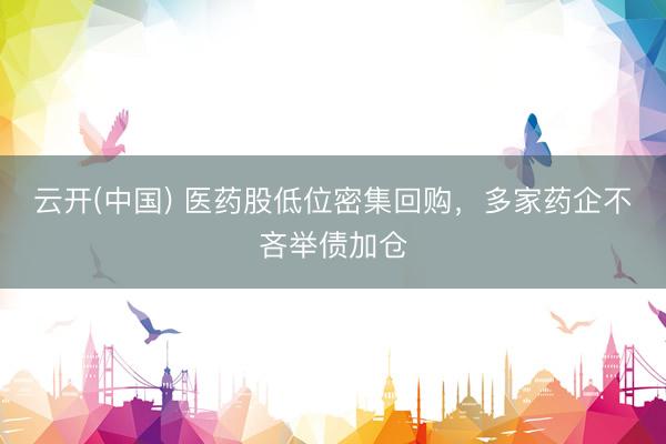 云开(中国) 医药股低位密集回购，多家药企不吝举债加仓