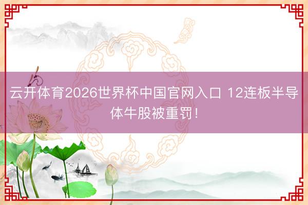 云开体育2026世界杯中国官网入口 12连板半导体牛股被重罚！