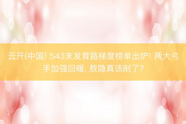 云开(中国) S43末发育路梯度榜单出炉! 两大弓手加强回暖， 敖隐真该削了?