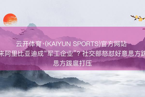 云开体育·(KAIYUN SPORTS)官方网站 一醒觉来阿里比亚迪成“军工企业”? 社交部怒怼好意思方跋扈打压