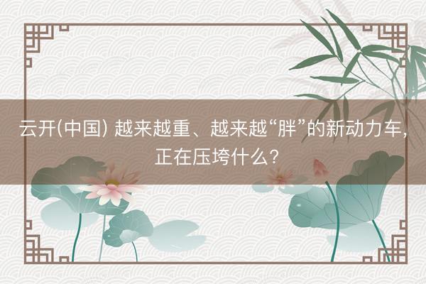 云开(中国) 越来越重、越来越“胖”的新动力车， 正在压垮什么?