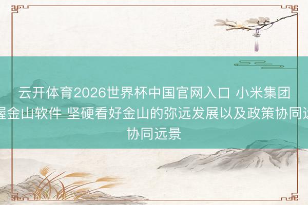 云开体育2026世界杯中国官网入口 小米集团增握金山软件 坚硬看好金山的弥远发展以及政策协同远景