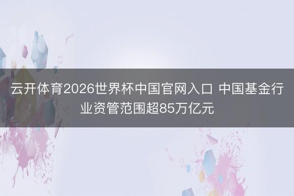 云开体育2026世界杯中国官网入口 中国基金行业资管范围超85万亿元