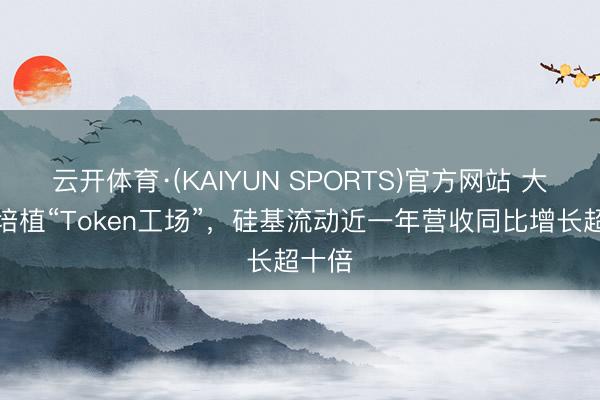 云开体育·(KAIYUN SPORTS)官方网站 大模子培植“Token工场”，硅基流动近一年营收同比增长超十倍