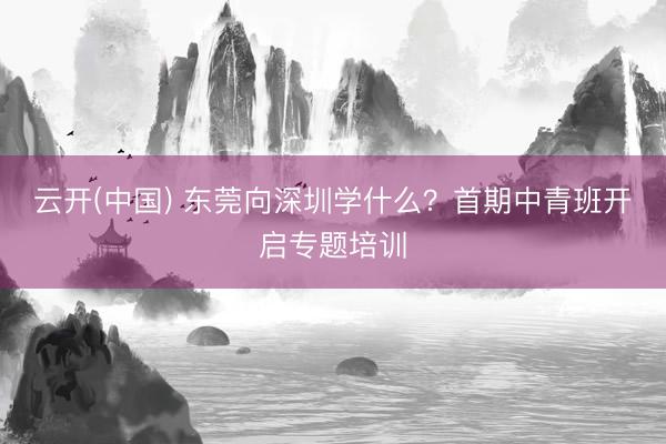 云开(中国) 东莞向深圳学什么？首期中青班开启专题培训